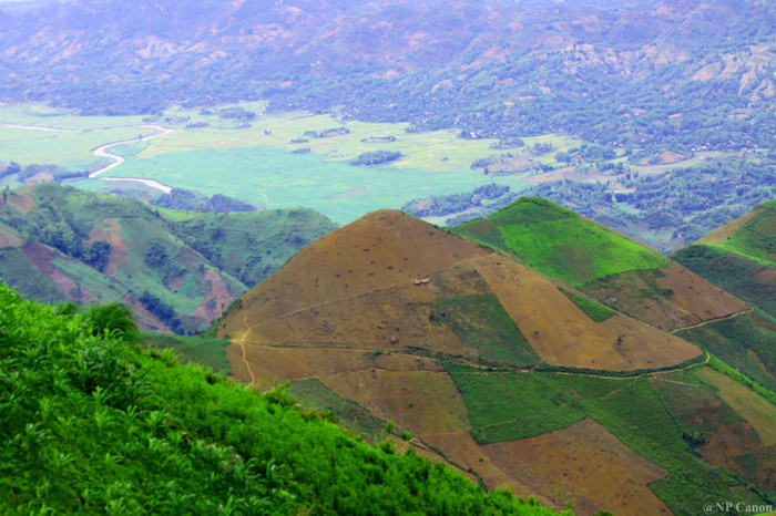 Những ngọn đồi trọc không còn một cây rừng.