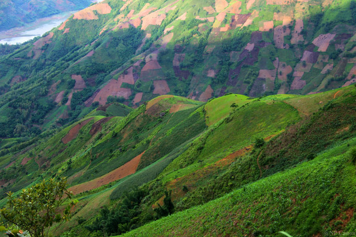 Những dãy núi, quả đồi trở thành những thửa ruộng tạo thành bức tranh ghép tuyệt đẹp.