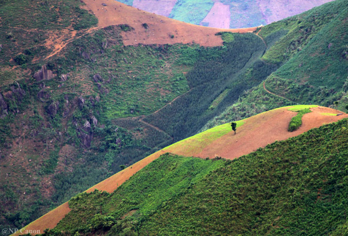 Như một bức họa với nghệ thuật sắp đặt.