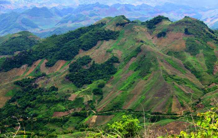 Rất ít khu rừng còn lại do sức tàn phá của bàn tay con người.