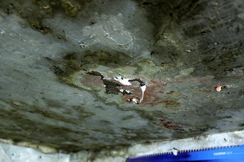 Ẩm ướt là điều kiện rất tốt cho các loại lấm mốc, vi trùng phát triển gây ảnh hưởng tới sức khỏe. (Ảnh NP)