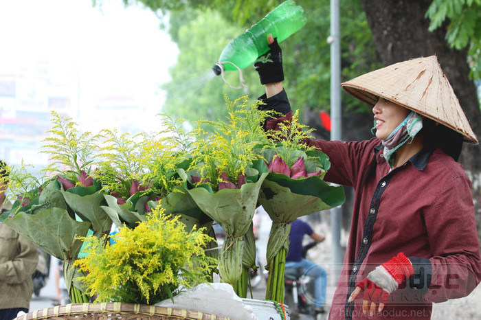 Và mỗi khi tháng 5 về, cái nắng vàng rực rỡ của mùa hè đến thì hoa sen lại tràn ngập khắp phố phường, phục vụ thú chơi đầy tao nhã, thanh tịnh của mỗi người. Xem thêm Hình ảnh Việt Nam Và mỗi khi tháng 5 về, cái nắng vàng rực rỡ của mùa hè đến thì hoa sen lại tràn ngập khắp phố phường, phục vụ thú chơi đầy tao nhã, thanh tịnh của mỗi người. Xem thêm Hình ảnh Việt Nam