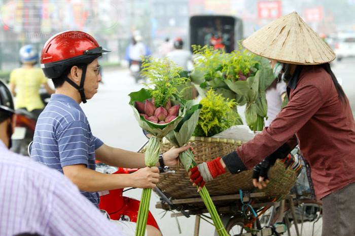 Và mỗi khi tháng 5 về, cái nắng vàng rực rỡ của mùa hè đến thì hoa sen lại tràn ngập khắp phố phường, phục vụ thú chơi đầy tao nhã, thanh tịnh của mỗi người. Xem thêm Hình ảnh Việt Nam Và mỗi khi tháng 5 về, cái nắng vàng rực rỡ của mùa hè đến thì hoa sen lại tràn ngập khắp phố phường, phục vụ thú chơi đầy tao nhã, thanh tịnh của mỗi người. Xem thêm Hình ảnh Việt Nam