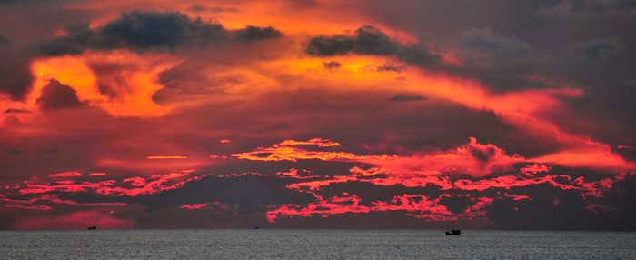 Rực ánh hoàng hôn