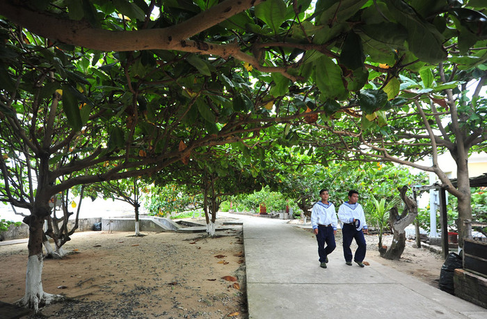 Môi trường xanh sạch