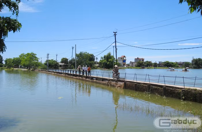 Hồ được hình thành từ những năm 60 khi nhân dân nơi đây đã đắp 1 con đê dài hơn 20km từ xã Thượng Lâm tới Hợp Tiến, ngăn nước lũ từ thượng nguồn Hòa Bình đổ về và là nơi tích nước tưới cho ruộng, chống hạn trên địa bàn.
