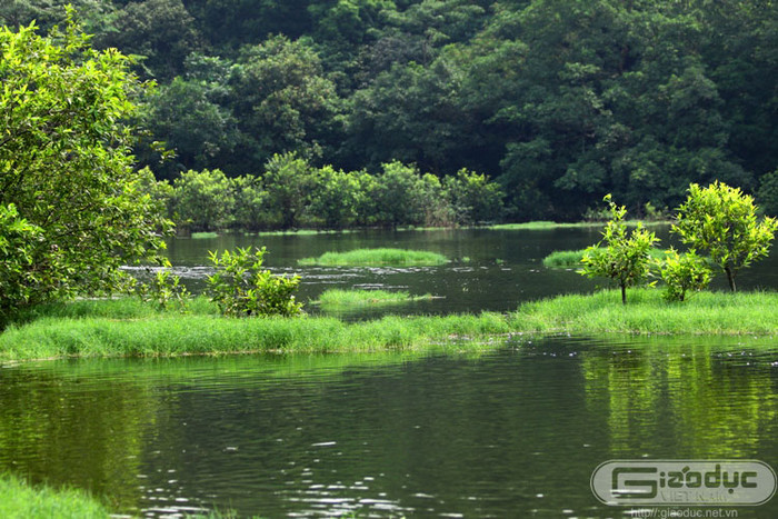 Nét tự nhiên nơi này chưa có sự can thiệp nhiều của bàn tay con người. Xem thêm 'Say' với cảnh sắc nước non hùng vĩ lãng mạn của hồ Quan Sơn (P1) Nét tự nhiên nơi này chưa có sự can thiệp nhiều của bàn tay con người. Xem thêm 'Say' với cảnh sắc nước non hùng vĩ lãng mạn của hồ Quan Sơn (P1)