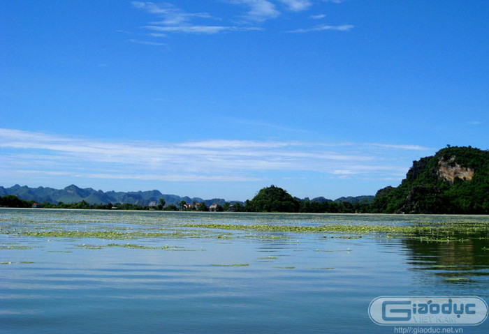 Do còn rất hoang sơ và hầu như rất ít có sự tác động của con người nên nơi đây người ta vẫn thấy bóng dáng những chú chim le le, những chú vịt trời ngụp lặn. Do còn rất hoang sơ và hầu như rất ít có sự tác động của con người nên nơi đây người ta vẫn thấy bóng dáng những chú chim le le, những chú vịt trời ngụp lặn.