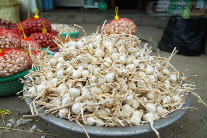 Tỏi ở Lý Sơn có hai loại là tỏi nhiều nhánh (được bán lẻ với giá từ 60 đến 80 nghìn đồng) và loại tỏi một nhánh (tỏi cô đơn). Loại tỏi một nhánh là đặc sản mà chỉ nơi đây mới có được bán với giá từ 350 nghìn đồng tới 550 nghìn đồng.