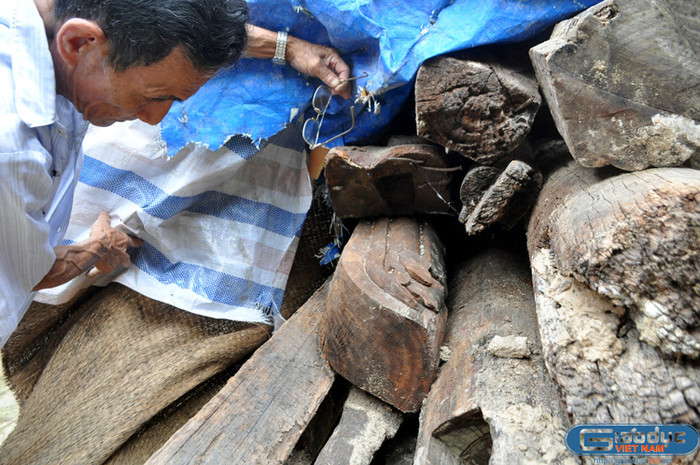 Những thanh câu đầu, sà, kèo... được hạ giải nhưng không được bảo quản cẩn thận và không được sử dụng trở lại. Thay vào đó là được phơi nắng, phơi mưa cả năm trời nên đã bị mục nát. Những thanh câu đầu, sà, kèo... được hạ giải nhưng không được bảo quản cẩn thận và không được sử dụng trở lại. Thay vào đó là được phơi nắng, phơi mưa cả năm trời nên đã bị mục nát.