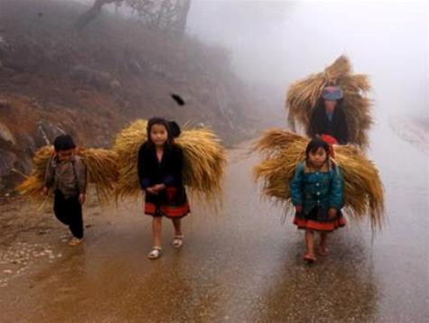 Các tỉnh miền núi phía Bắc hôm nay nhiệt độ giảm sâu, trời rét đậm. (Ảnh minh họa)