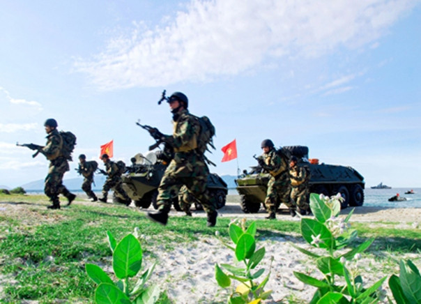 Lực lượng đặc nhiệm Hải quân Việt Nam