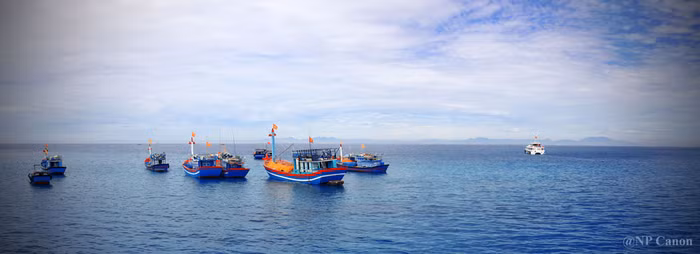 Ngoài việc trồng hành, tỏi, người dân huyện đảo Lý Sơn có nghề truyền thống là đi biển. Tuy nhiên, hoạt động đánh bắt, khai thác hải sản của ngư dân nơi đây chủ yếu là đánh bắt gần bờ. Một số ít hộ có thuyền lớn thì khai thác hải sản tại các ngư trường ngoài khơi xa khu vực quần đảo Hoàng Sa, Trường Sa. Người dân nơi đây quyết không hề sợ hãi, nản chí trước kẻ thù xâm lấn chủ quyền lãnh hải của dân tộc. Bởi theo họ, đó là phần thiêng liêng của tổ quốc, đồng thời cũng là nơi để họ kiếm kế sinh nhai.