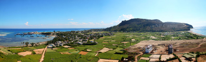 Với đặc sản tỏi trồng trên những thửa ruộng cát đã tạo nên thương hiệu cho huyện đảo Lý Sơn.