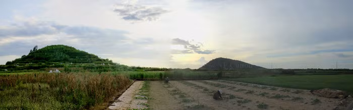 Những cánh đồng nơi đây được người dân Lý Sơn canh tác quanh năm với 4 vụ tỏi, hành, dưa hấu hoặc các loại cây hoa mầu khác. Do điều kiện thiên nhiên đặc trưng là nơi quanh năm nắng gió nên người dân nơi đây phải sử dụng cát trắng (khai thác từ biển) phủ lên bề mặt ruộng dày chừng 2-3 cm để phản quang, giữ cho gốc cây được mát và phát triển tốt.