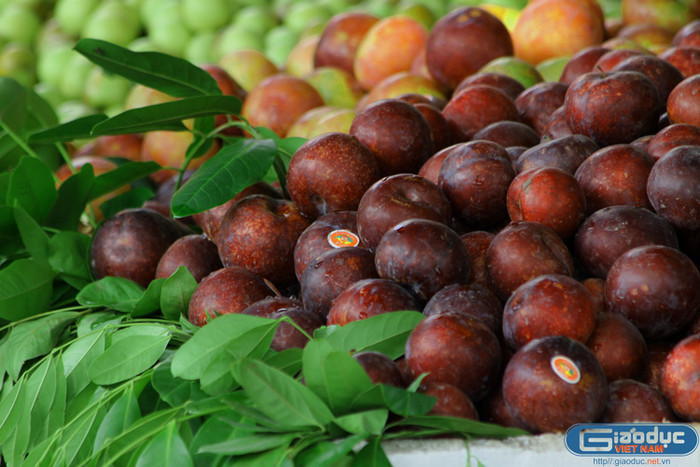 Những quả mận căng mọng xuất xứ từ Trung Quốc.