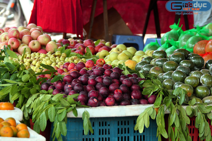 Mận, lựu, táo đỏ, cam Trung Quốc bắt mắt tại các cửa hàng hoa quả ở Hà Nội.