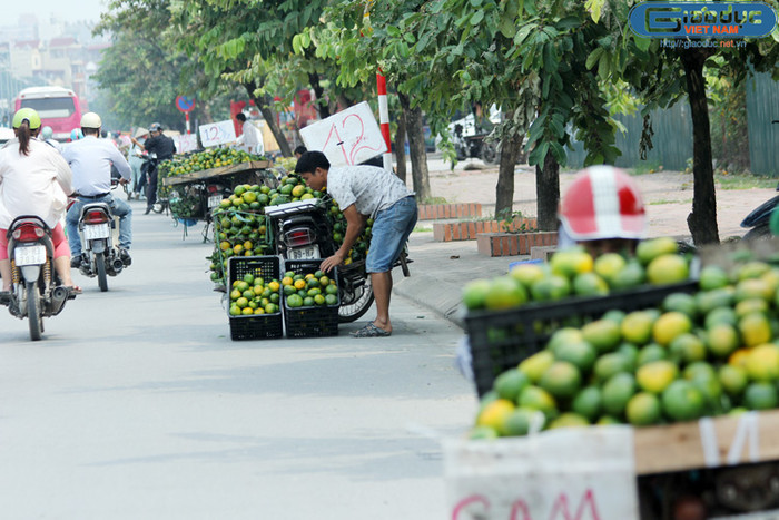 Sáng nào cũng lấy hoa quả tại chợ đầu mối Long Biên về bán, một người bán cam cho biết trên infonet: cam Trung Quốc được đóng theo thùng giấy hoặc tre. Giá bán tại chợ đầu mối khoảng 100.000 đồng/thùng 17-18 kg. Tính ra, mỗi kg chỉ khoảng 6.000 đồng. Loại héo, vàng, mua tại chợ đầu mối, có khi giá chỉ khoảng 3.000-4.000 đồng/kg.