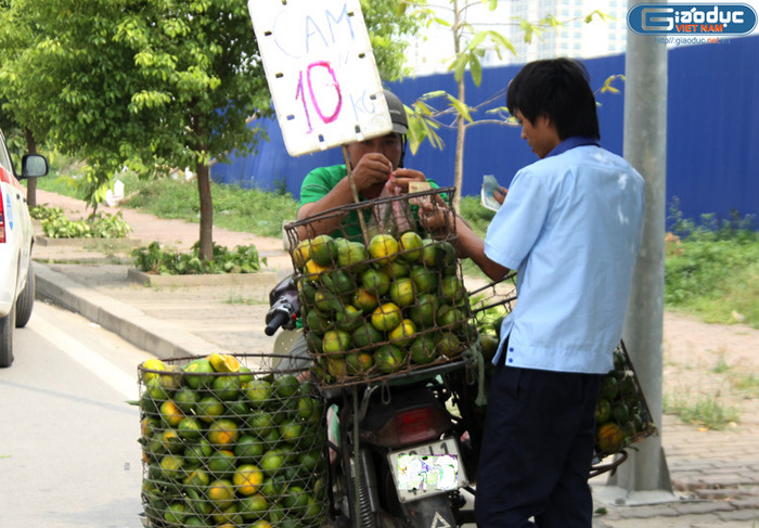 Theo anh Hải, quê ở Chương Mỹ, Hà Nội (người bán cam), những sọt cam này được lấy từ chợ đầu mối Long Biên. Người ta chở cả những chuyến xe tải từ trên Lạng Sơn về đấy đổ buôn. Cũng theo anh Hải, anh cũng biết thông tin về việc các mẫu hoa quả từ Trung Quốc nhiễm độc. "Chúng tớ không bán hoa quả Trung Quốc thì lấy đâu ra hoa quả mà bán? Nếu muốn ăn hoa quả không có độc thì chỉ có mỗi một cách là tự trồng lấy thôi", anh Hải nói.
