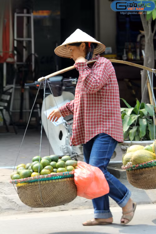 Hoa quả Trung Quốc xuất hiện cả từ những gánh hàng rong.