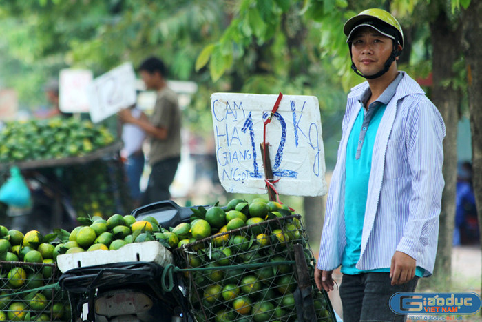 Cam được bày bán ở đây được ghi là “cam Hà Giang”. Nhưng trên thực tế người bán hàng cho biết: “Cam Trung Quốc này, khi chín có màu vàng, giới buôn hoa quả gọi là quýt chum”. Mùa cam Hà Giang, sẽ rộ lên từ khoảng tháng 11 dương lịch. Giá cam Hà Giang khi vào mùa cũng rẻ, nhiều khi chỉ 10.000 đồng/kg, nhưng là hàng Việt Nam nên khá an tâm về chất lượng vì không có chất bảo quản.
