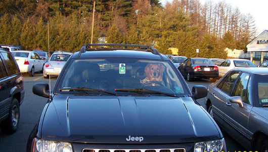 Đỗ xe an toàn Đỗ xe an toàn