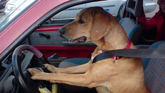 Kệ người ta chơi, mình cứ phải an toàn Kệ người ta chơi, mình cứ phải an toàn