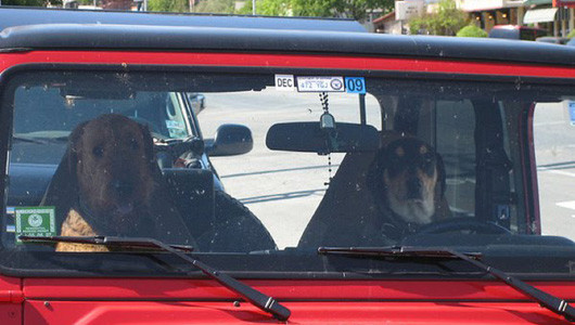 Mặt trông rất hình sự Mặt trông rất hình sự