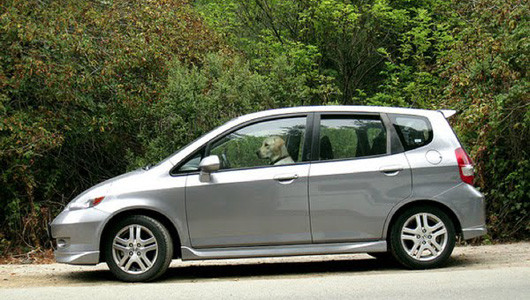 Một chiếc xe hợp với dáng em Một chiếc xe hợp với dáng em