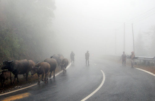 Các tỉnh miền Bắc sẽ trở lại trạng thái tiết trời rét đậm trong dài ngày. (Ảnh minh họa) Các tỉnh miền Bắc sẽ trở lại trạng thái tiết trời rét đậm trong dài ngày. (Ảnh minh họa)