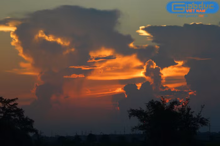 Lũy tre làng vẫn còn đó, hồn cốt làng quê Việt vẫn tồn tại ở đây - xã Thống Nhất (huyện Thường Tín).