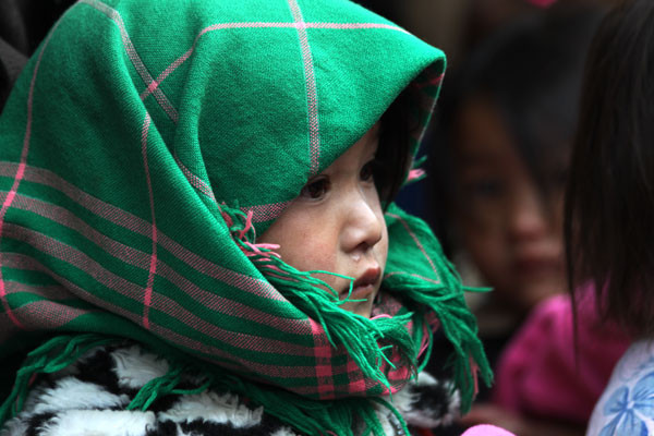 Pả Vi, huyện Mèo Vạc, tỉnh Hà Giang là một trong những địa phương còn hết sức nghèo khó về kinh tế. Người dân sinh sống chủ yếu là đồng bào dân tộc H'Mông (chiếm 99%). Pả Vi, huyện Mèo Vạc, tỉnh Hà Giang là một trong những địa phương còn hết sức nghèo khó về kinh tế. Người dân sinh sống chủ yếu là đồng bào dân tộc H'Mông (chiếm 99%).