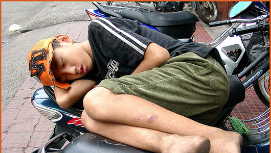 “Màn trời, chiếu… xe” “Màn trời, chiếu… xe”