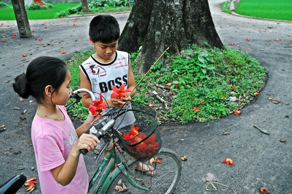 Gốc gạo già ghi dấu kỷ niệm tuổi thơ của biết bao thế hệ. Gốc gạo già ghi dấu kỷ niệm tuổi thơ của biết bao thế hệ.