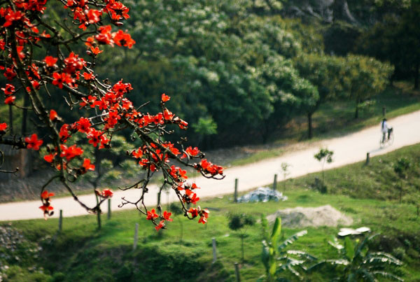 Tô điểm con đường làng. Tô điểm con đường làng.