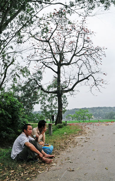 Nghỉ ngơi bên gốc gạo. Nghỉ ngơi bên gốc gạo.