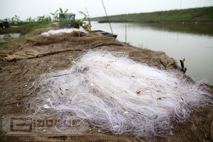 Từ những năm 2005-2007, chính quyền huyện Tiên Lãng đã ra quyết định yêu cầu các chủ đầm ngừng mọi hoạt động đầu tư vào đầm, sớm thu hoạch để trả lại cho chính quyền quản lý. Điều này đã khiến mọi hoạt động đầu tư, nuôi trồng và sản xuất của bà con nơi đây đã bị đình trệ. Xem toàn bộ diễn biến vụ cưỡng chế ở Hải Phòng Từ những năm 2005-2007, chính quyền huyện Tiên Lãng đã ra quyết định yêu cầu các chủ đầm ngừng mọi hoạt động đầu tư vào đầm, sớm thu hoạch để trả lại cho chính quyền quản lý. Điều này đã khiến mọi hoạt động đầu tư, nuôi trồng và sản xuất của bà con nơi đây đã bị đình trệ. Xem toàn bộ diễn biến vụ cưỡng chế ở Hải Phòng