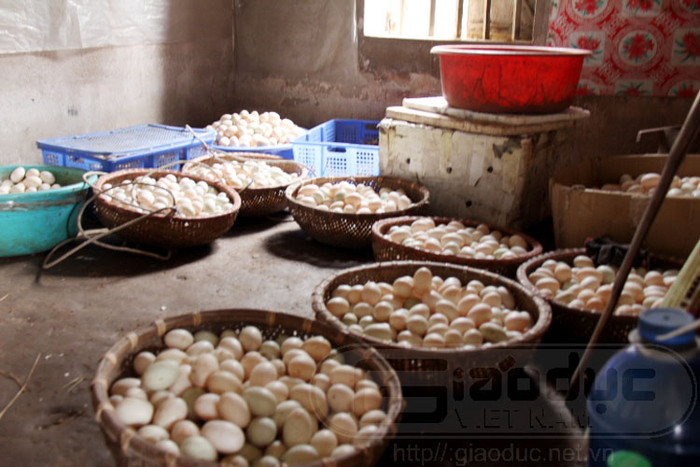 Xem toàn bộ diễn biến vụ cưỡng chế ở Hải Phòng Xem toàn bộ diễn biến vụ cưỡng chế ở Hải Phòng