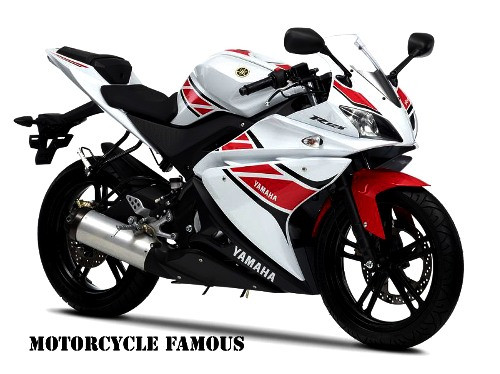 Xe được trang bị hệ thống giảm xóc sau monoshock có thể điều chỉnh được độ cao của yên xe. Hệ thống an toàn gồm có phanh đĩa cả bánh trước và bánh sau. Xe được trang bị hệ thống giảm xóc sau monoshock có thể điều chỉnh được độ cao của yên xe. Hệ thống an toàn gồm có phanh đĩa cả bánh trước và bánh sau.