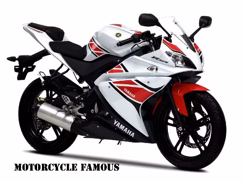 Xe được trang bị hệ thống giảm xóc sau monoshock có thể điều chỉnh được độ cao của yên xe. Hệ thống an toàn gồm có phanh đĩa cả bánh trước và bánh sau.