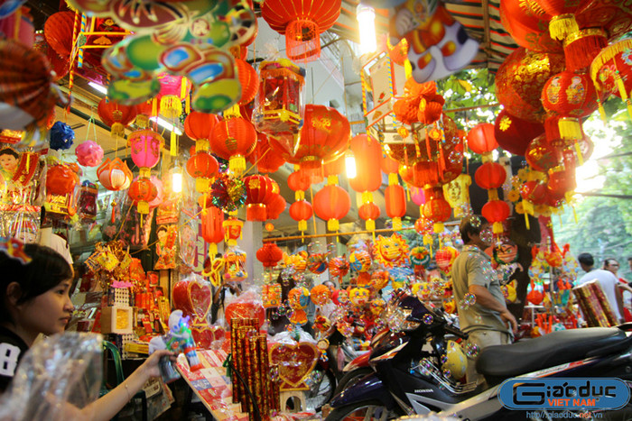 Cơ ngàn đèn lồng Cơ ngàn đèn lồng