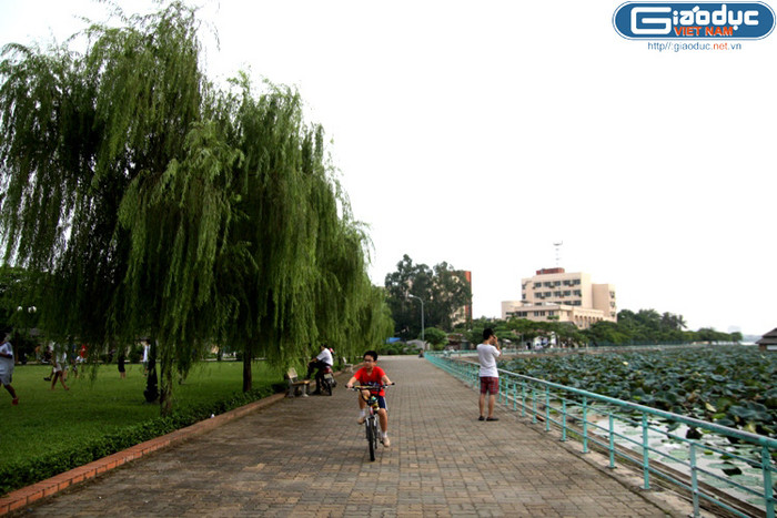 Chiều bên hồ Tây với gió heo may, những làn sương mờ nhẹ buông khiến cảnh sắc thêm thơ mộng. Chiều bên hồ Tây với gió heo may, những làn sương mờ nhẹ buông khiến cảnh sắc thêm thơ mộng.