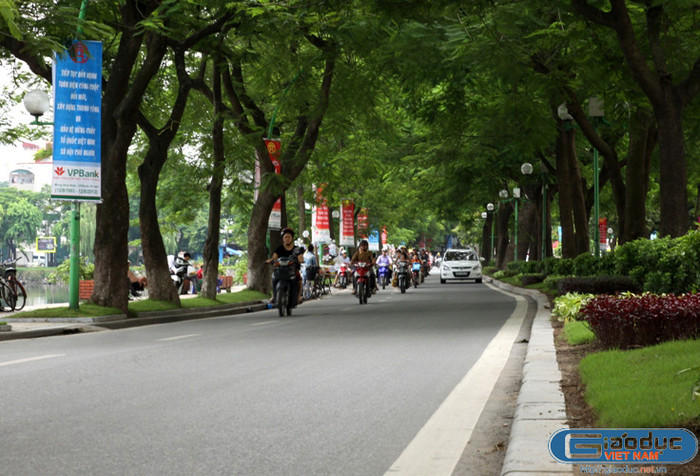 Đường Thanh Niên mát mắt với hàng cây phượng vĩ đang chuẩn bị vào mùa trút lá vàng. Đường Thanh Niên mát mắt với hàng cây phượng vĩ đang chuẩn bị vào mùa trút lá vàng.