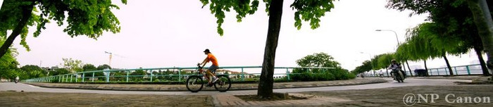 Con đường tình yêu. Con đường tình yêu.