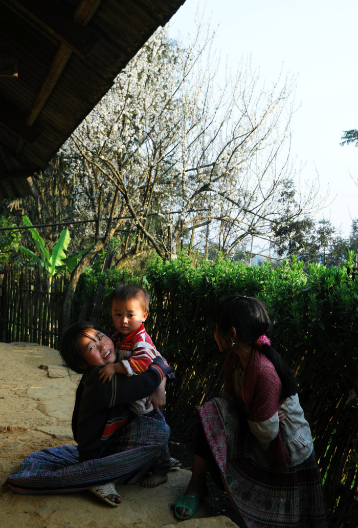 Những mùa hoa mận về đi vào ký ức, gắn với tuổi thơ vùng cao. XEM THÊM HÌNH ẢNH VẺ ĐẸP QUÊ HƯƠNG VIỆT NAM