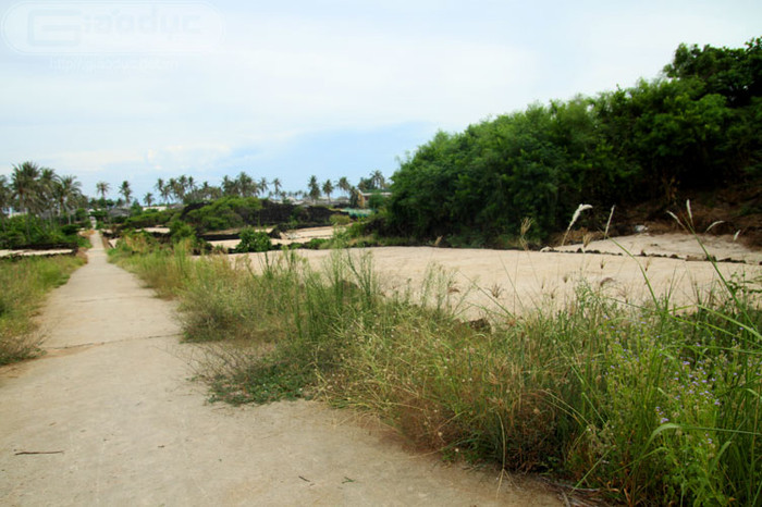 Nét hoang sơ nơi hòn đảo "cô đơn" ngoài vùng biển khơi của tổ quốc. Nét hoang sơ nơi hòn đảo "cô đơn" ngoài vùng biển khơi của tổ quốc.