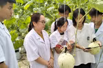 Trường ĐH đề xuất có cơ chế hỗ trợ đặc thù cho người học ngành nông nghiệp, lâm nghiệp, thủy sản