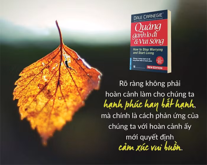 Tìm lại ý nghĩa, giá trị sống khi bên ngoài đảo lộn