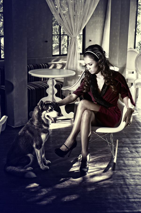 Các chú chó đáng yêu chẳng e ngại gì việc bị ống kính liên tục chĩa vào mà còn "diễn" rất đạt. Các chú chó đáng yêu chẳng e ngại gì việc bị ống kính liên tục chĩa vào mà còn "diễn" rất đạt.