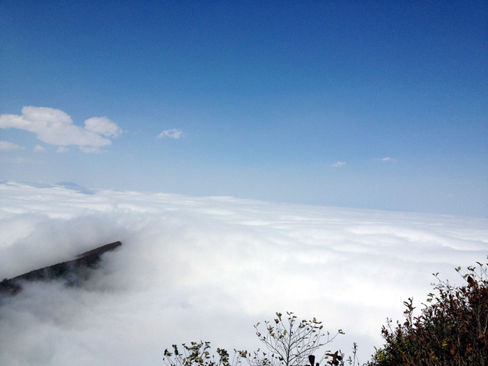 Bồng bềnh. Bồng bềnh.